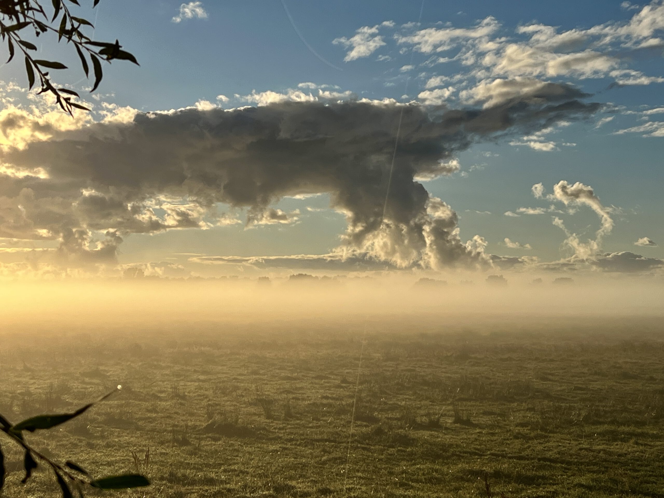 Sonnenaufgang über einer nebelverhangenen Wiese mit dramatischen Wolken am Horizont