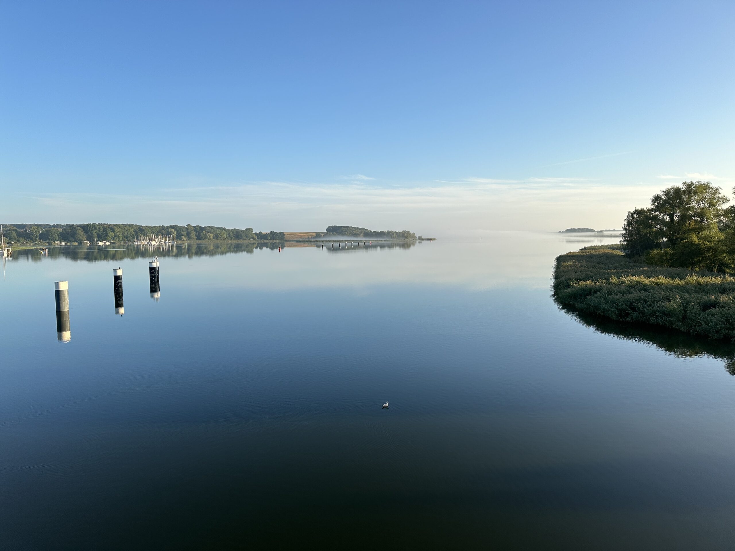 Ruhige Bucht mit Spiegelung und Bojen am frühen Morgen